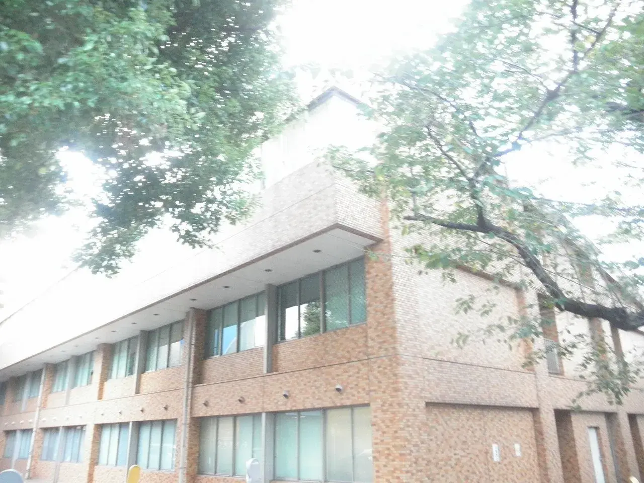 3SLDK Property Bunkyo-ku Tokyo (20)