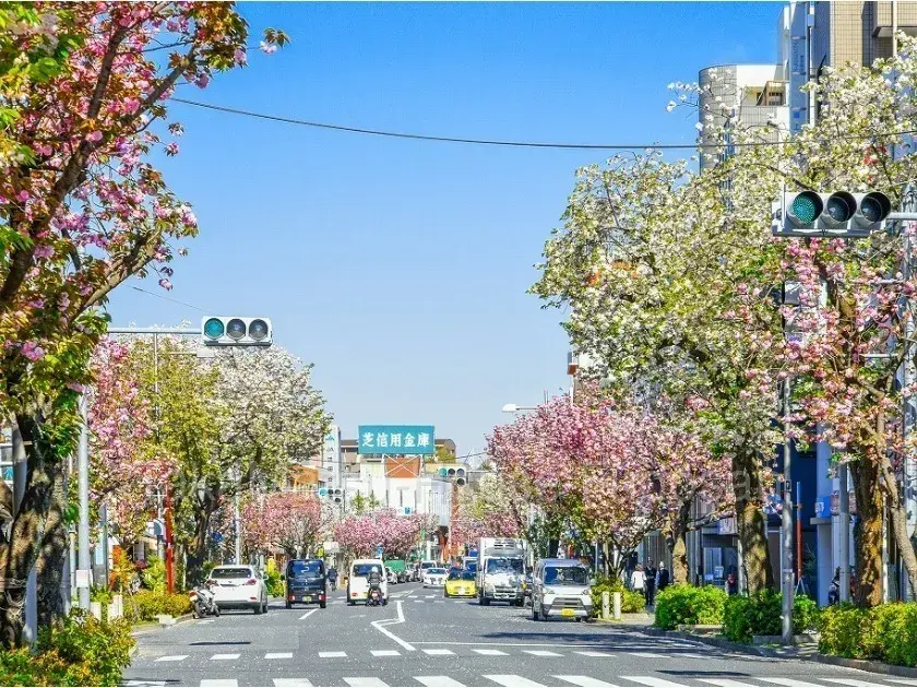 3LDK Property Setagaya Ward Tokyo (7)