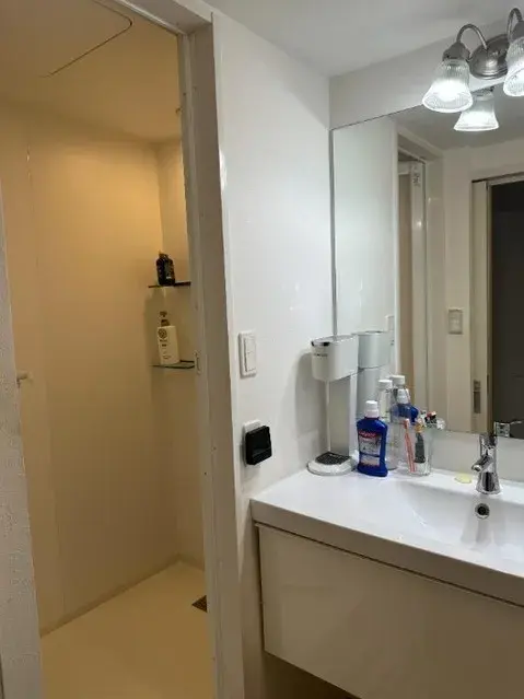 4LDK Property Nakano Ward Tokyo (10)
