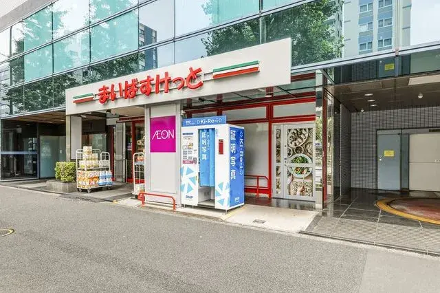 1DK Property Bunkyo Ward Tokyo (13)