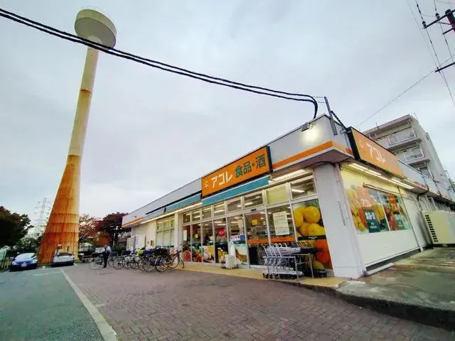 3LDK Property Suginami-ku Tokyo (20)