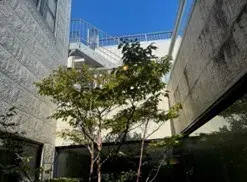 10LDK Property Setagaya Ward Tokyo (10)