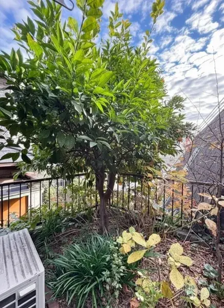 2SLDK Property Yokohama City Kanagawa Prefecture (19)