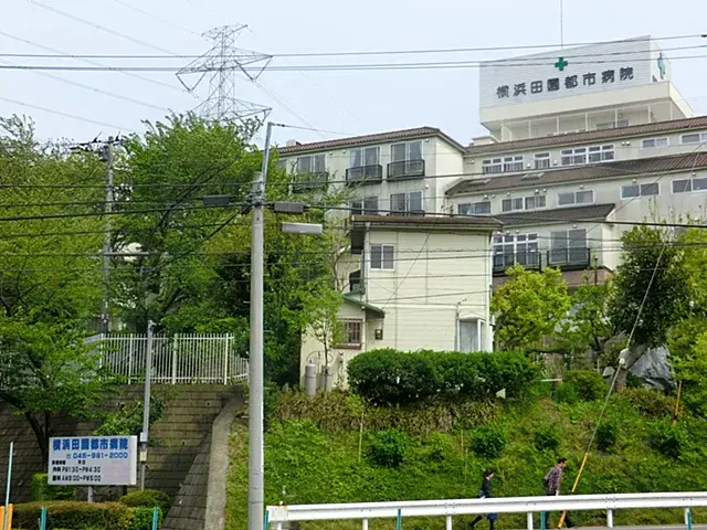 4LDK حي Midori مدينة Yokohama محافظة Kanagawa (25)