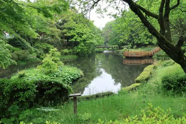 Akiya in Kanagawa