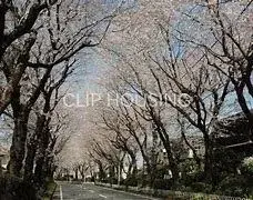 Propiedad 3LDK en la ciudad de Ayase, Prefectura de Kanagawa (9)