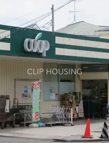 3LDK Chigasaki City Kanagawa Prefecture (2)