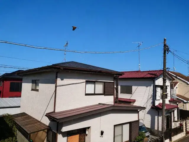 3DK Sagamihara Chuo-ku, Préfecture de Kanagawa (5)