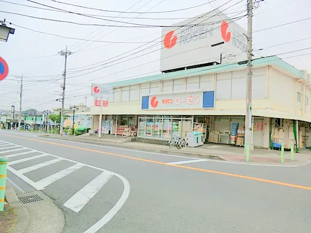 3LDK Property Ebina City Kanagawa Prefecture (27)