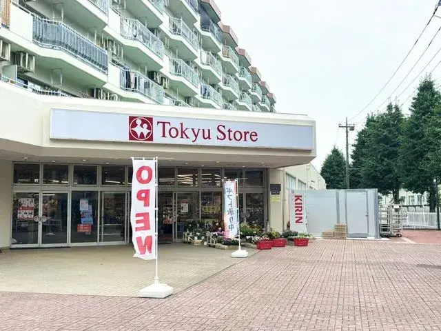 3LDK房产 相模原市南区 神奈川县 (7)