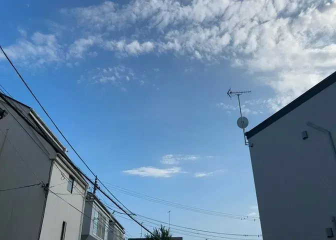 3LDK Property Sagamihara City, Chuo Ward Kanagawa Prefecture (16)