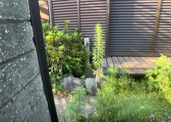 3DK Ciudad de Zama Prefectura de Kanagawa (3)
