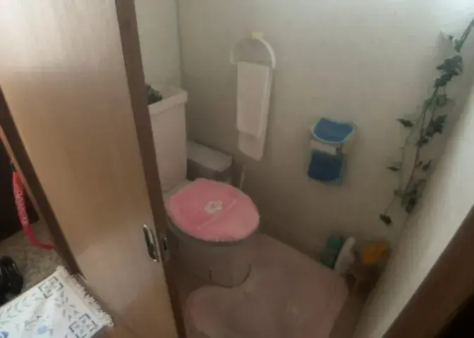 3DK Ciudad de Zama Prefectura de Kanagawa (25)