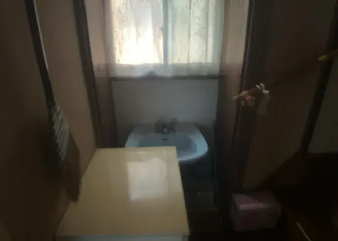 3DK Ciudad de Zama Prefectura de Kanagawa (26)