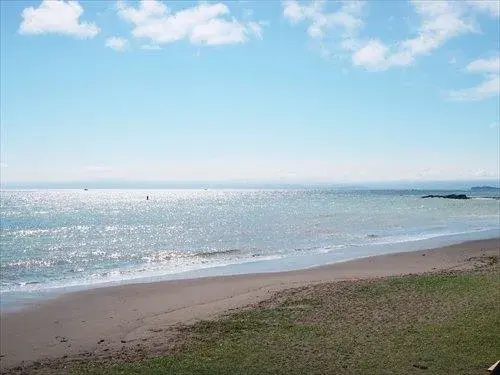 1LDK Property Yokosuka City Kanagawa Prefecture (22)