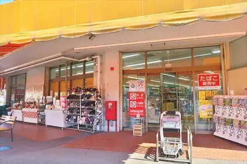 1LDK Property Yokosuka City Kanagawa Prefecture (24)