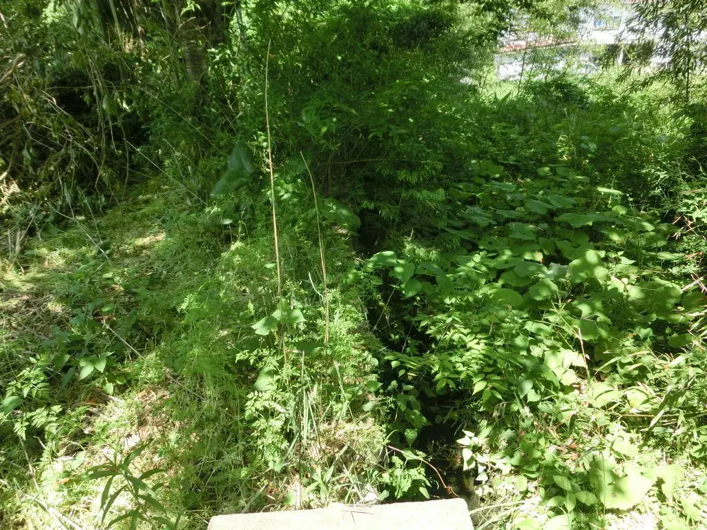 5K佐渡市新潟県物件 (23)