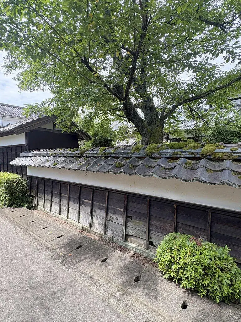 Fukui Echizen-cho 10LDK Property (28)