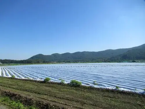 32LDK Property Nanmoku Village Nagano Prefecture (16)