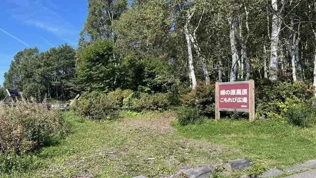 9LDK Property Suzaka City Nagano Prefecture (28)