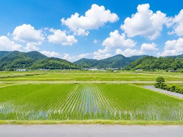 5DK Property Matsumoto City, Nagano Prefecture (16)