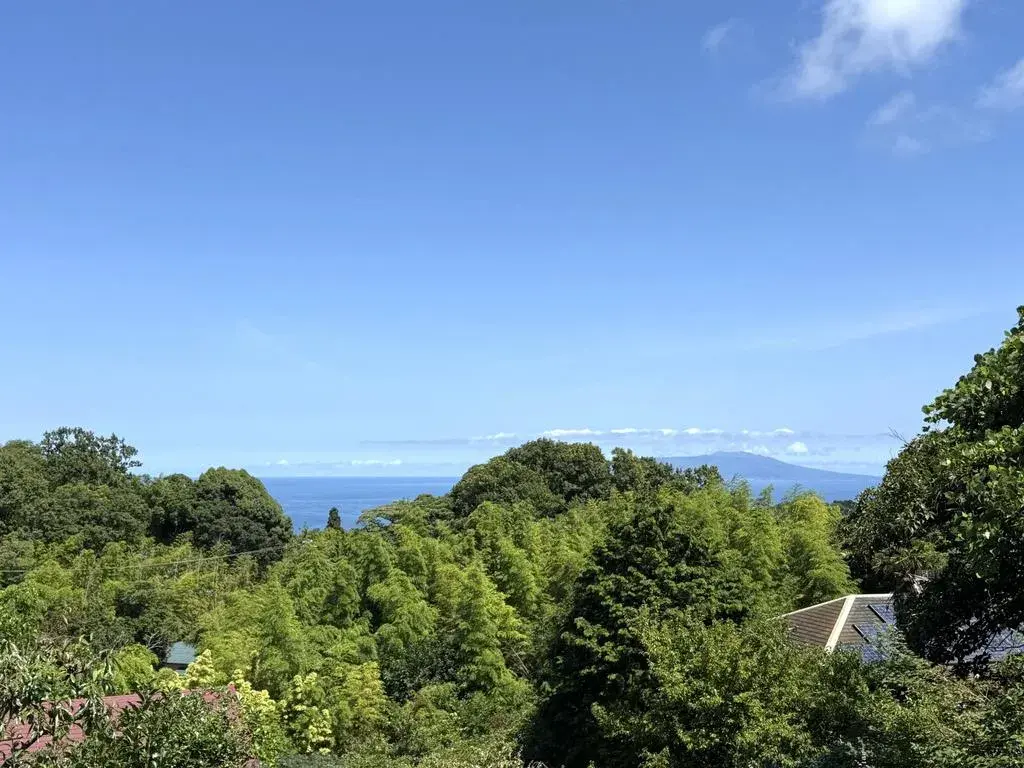 2LDK Ciudad de Ito Prefectura de Shizuoka (20)