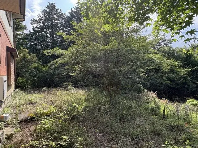 4LDK物件 伊豆市 静岡県 (5)