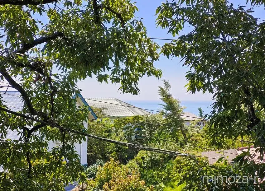 3LDK Property Ito City Shizuoka Prefecture (16)