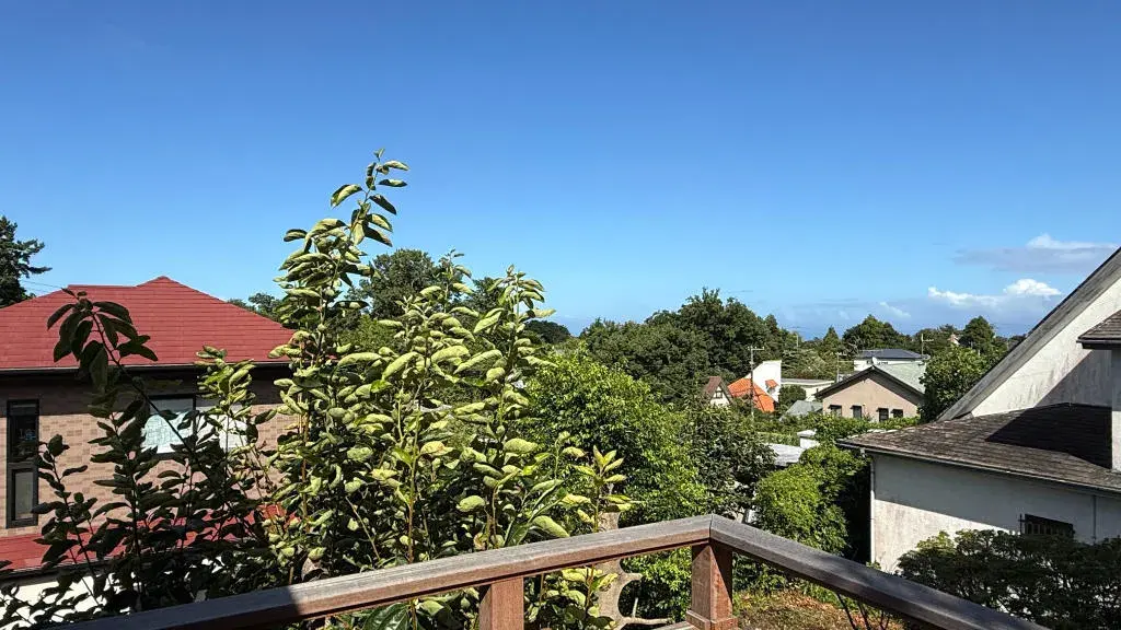2LDK物件 伊東市 静岡県 (11)