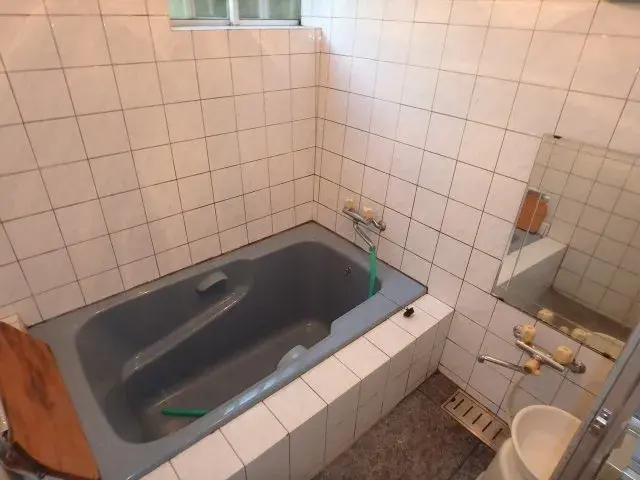 8K مدينة شيمودا محافظة شيزوكا (17)