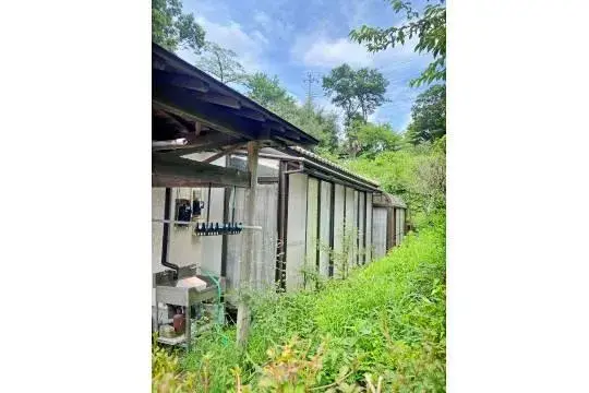 4DK Property Izunokuni City Shizuoka Prefecture (2)