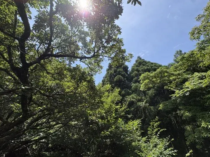 Propiedad 2LDK Higashiizu-cho Shizuoka Prefecture (13)