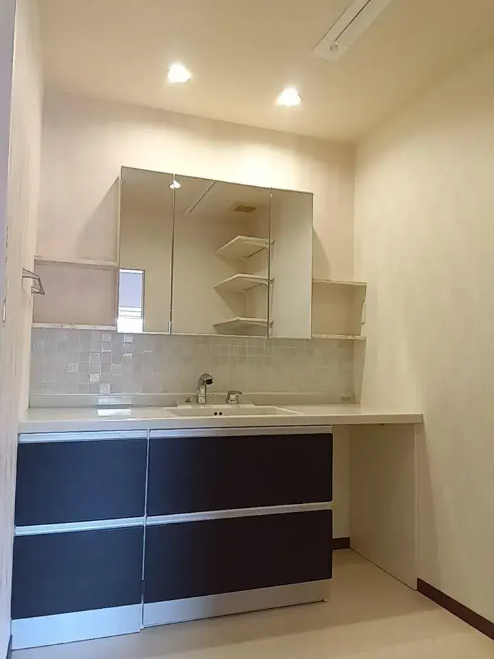 6SDK Mishima City Shizuoka Prefecture (14)