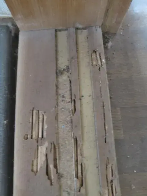 Slide 17