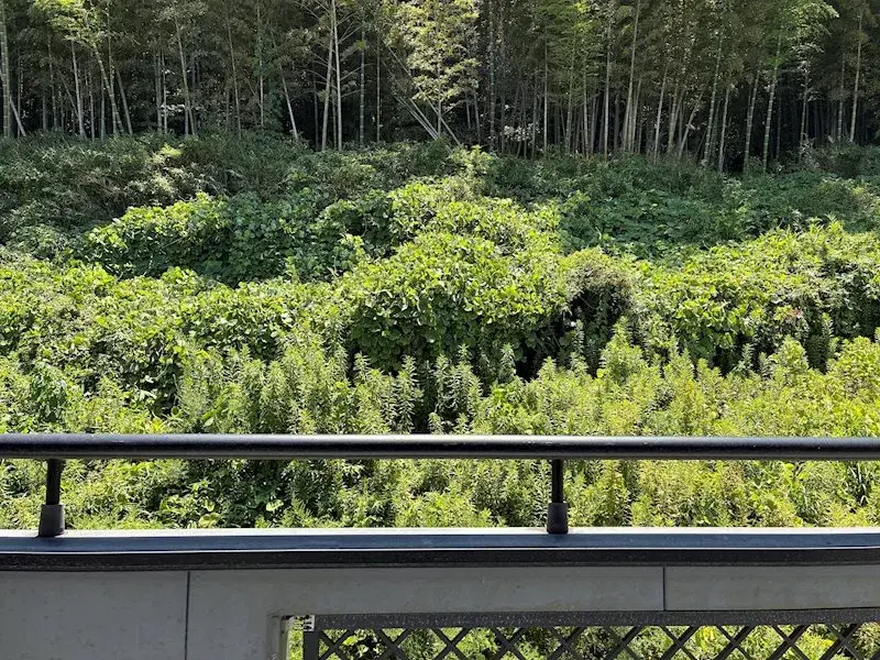 4LDK Yokkaichi City Mie Prefecture Property (22)