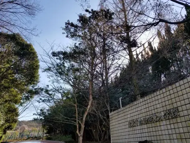 4LDK Ritto City Shiga Prefecture (25)