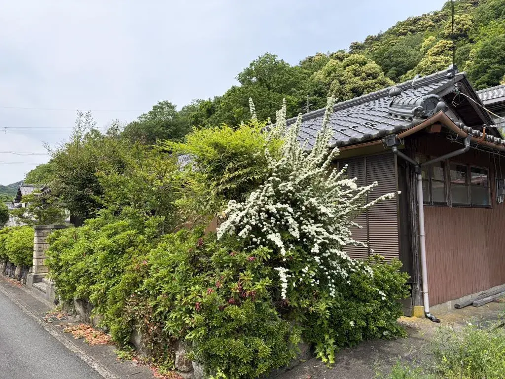 7K Property Maizuru City Kyoto Prefecture (3)