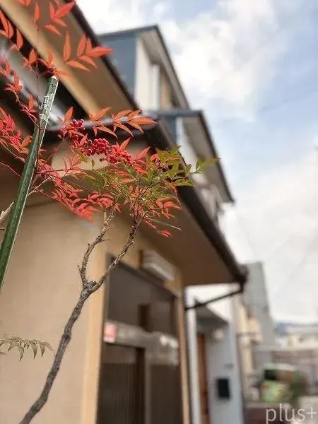 4DK Ukyo-ku, Ciudad de Kioto, Prefectura de Kioto (3)