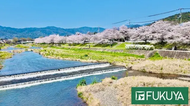 13K Property Kita Ward, Kyoto City, Kyoto Prefecture (12)