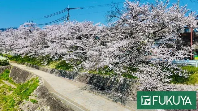 13K Property Kita Ward, Kyoto City, Kyoto Prefecture (14)