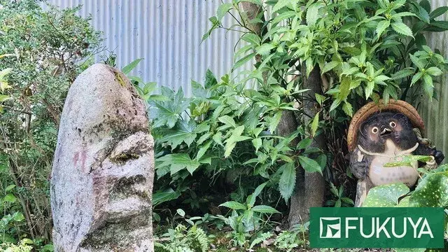 13K Property Kita Ward, Kyoto City, Kyoto Prefecture (9)