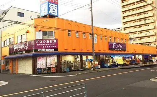 3LDK Osaka City Osaka Prefecture (18)