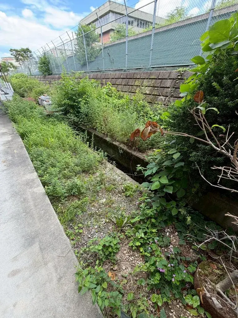 Propriété 5SLDK Ville de Neyagawa Préfecture d'Osaka (28)