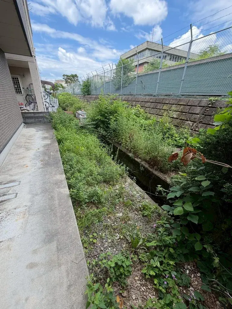 Propriété 5SLDK Ville de Neyagawa Préfecture d'Osaka (7)