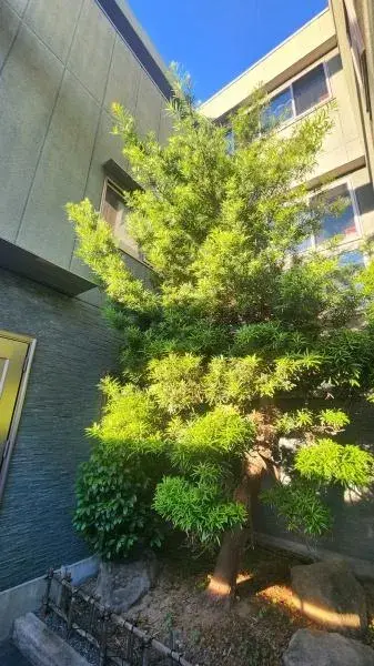 Propiedad 5LDK Ciudad Daito Prefectura de Osaka (20)