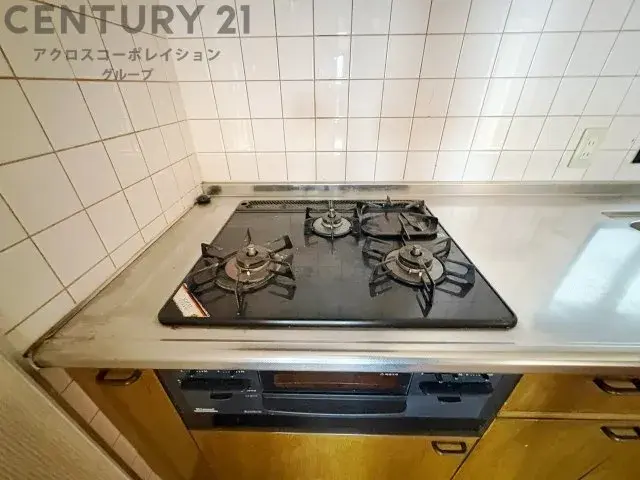 5LDK Property Kobe City Hyogo Prefecture (22)