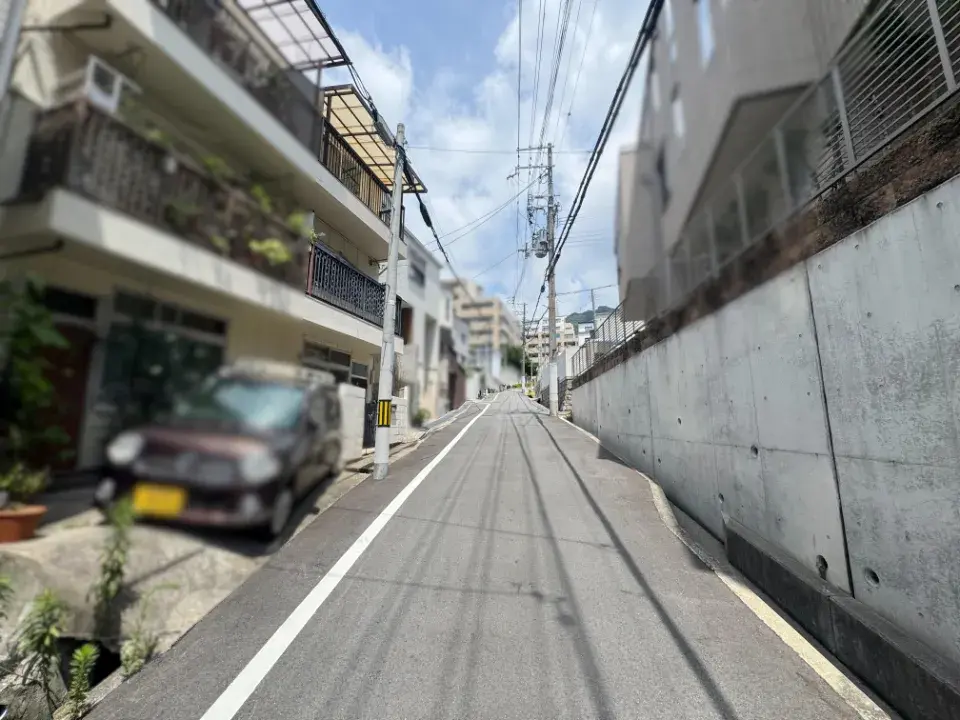 4DK Kobe Chuo-ku Hyogo Prefecture (4)