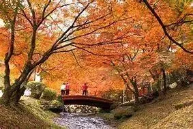 5DK Property Tatsuno City Hyogo Prefecture (11)