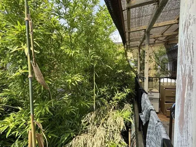 4DK 三木市 兵庫県 (5)