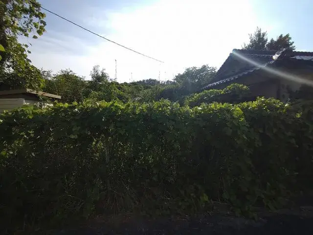 Недвижимость 4DK, город Hatsukaichi, префектура Hiroshima (26)